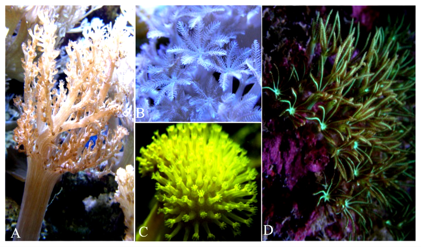 Whatsapp Image 2024 12 09 At 16.55.23