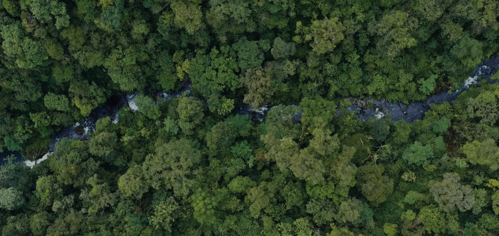 Whatsapp image 2025 03 23 at 05.10.41