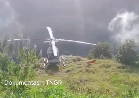 Whatsapp image 2025 07 17 at 06.01.21