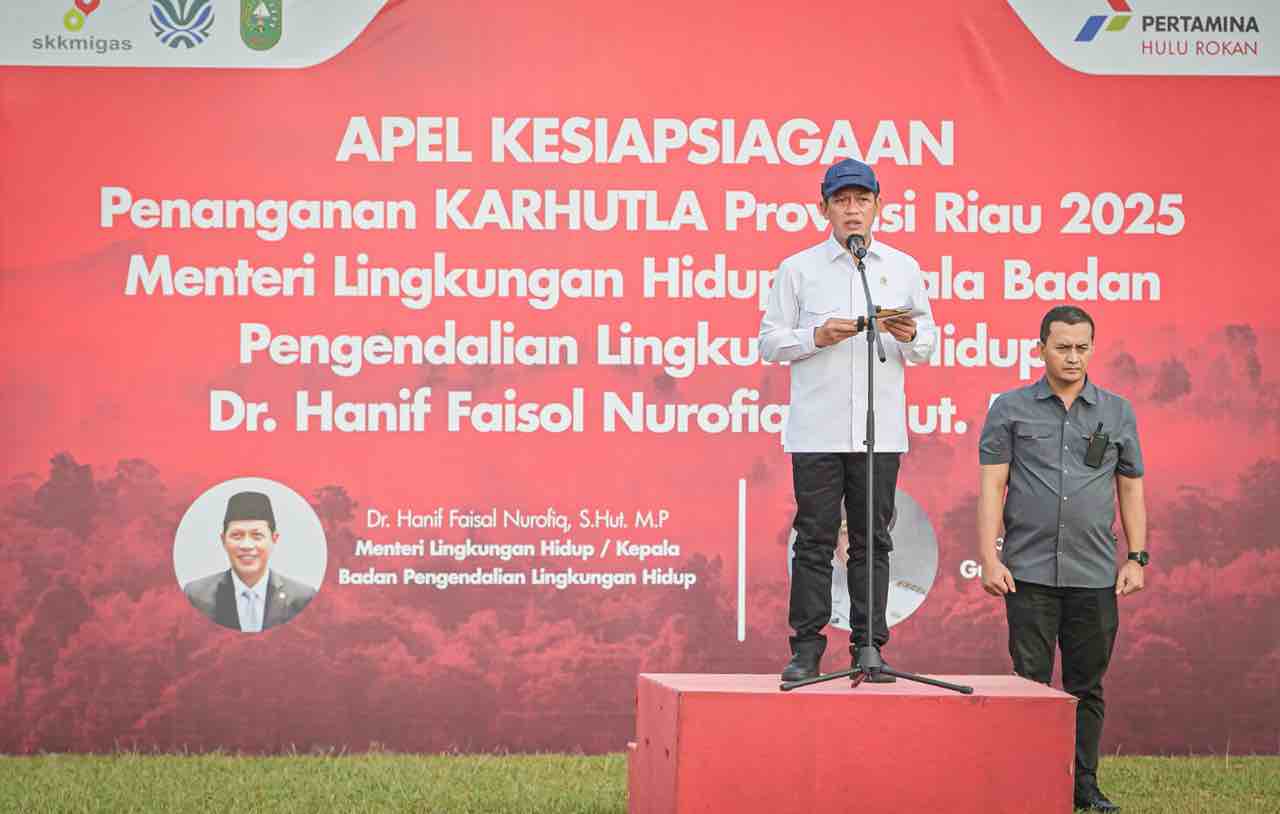 Whatsapp image 2025 07 25 at 01.10.38 11zon