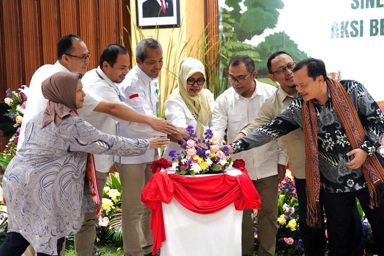 Whatsapp image 2025 08 13 at 08.09.48