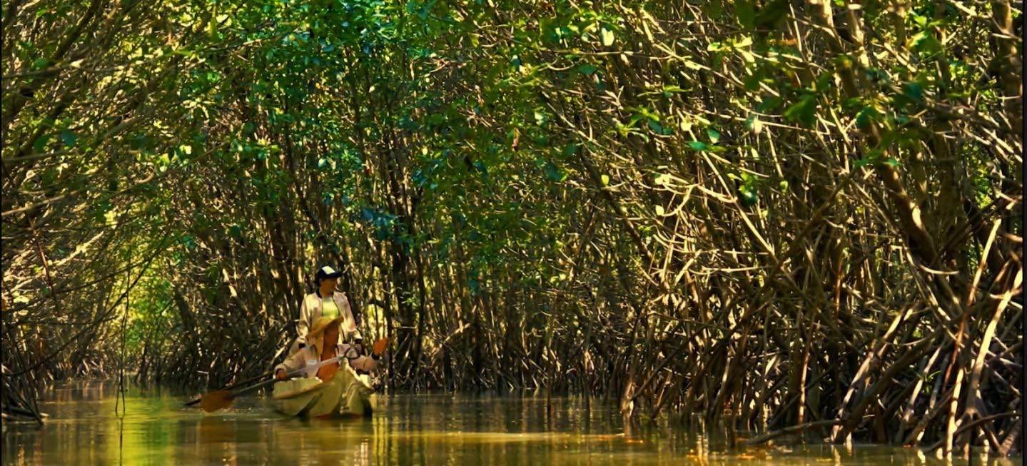 Whatsapp image 2025 08 29 at 08.00.52 11zon