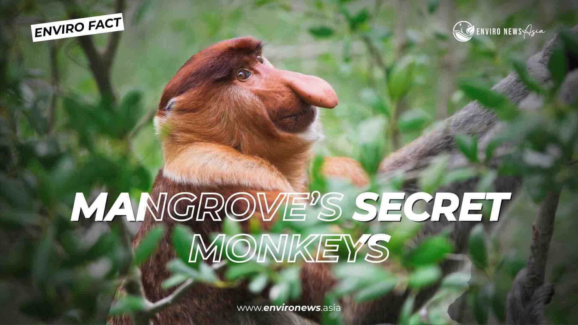 Enviro fact 19