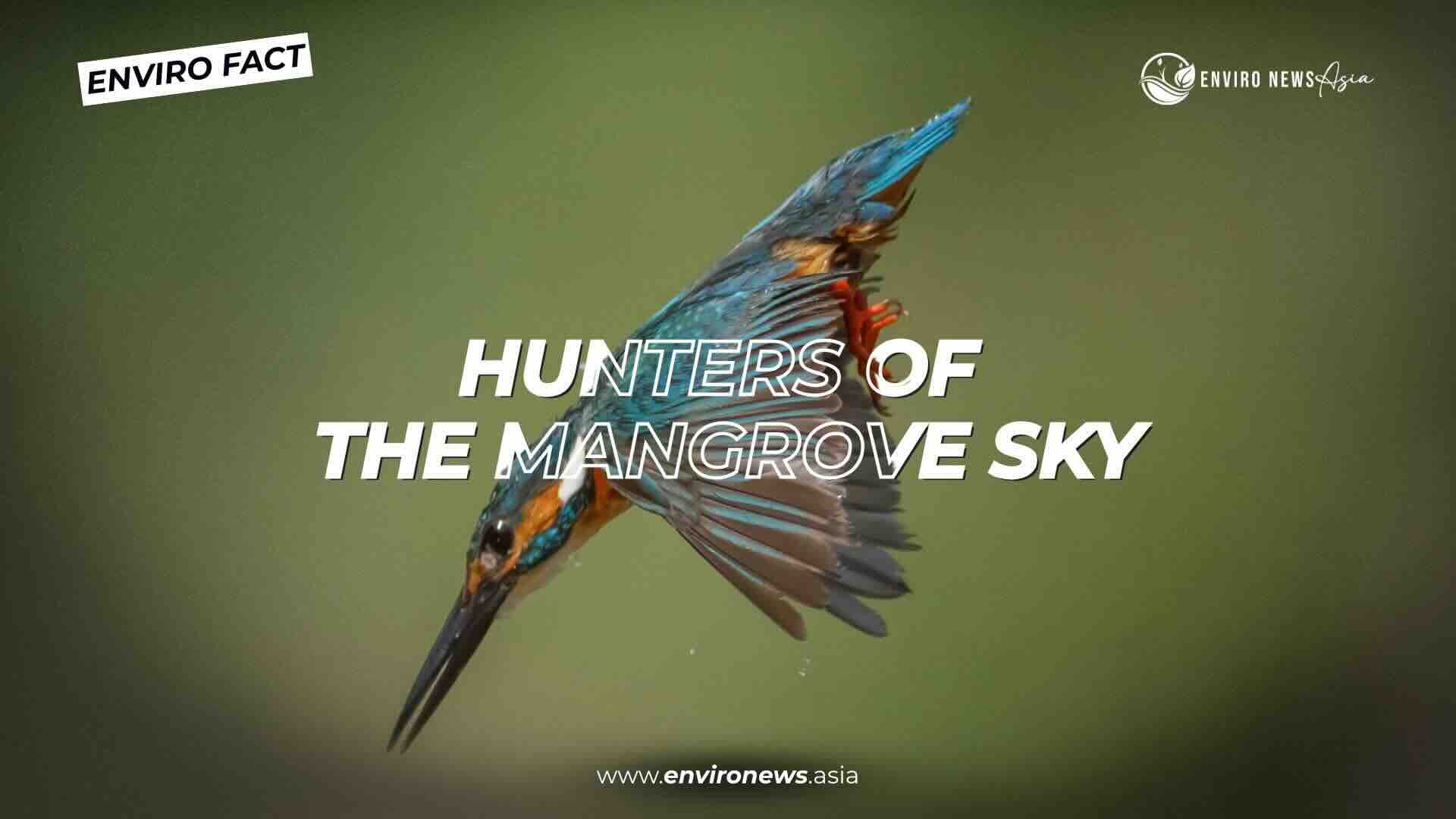 Enviro fact 21