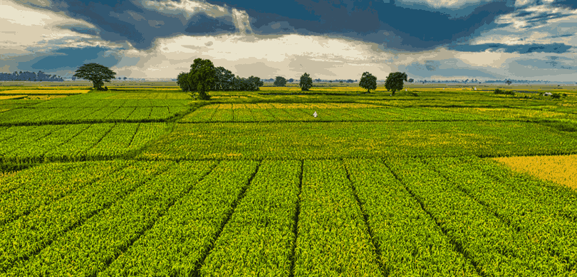 Destek23012026262626 11zon