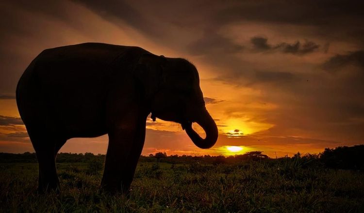 Medium img 20260101 wa 0009 8ed34edaa7