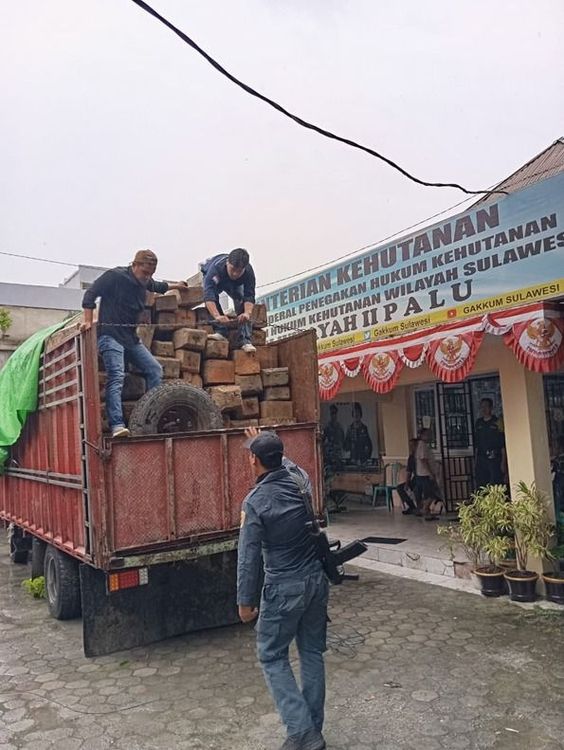 Medium img 20260123 wa 0008 ecdbd71850