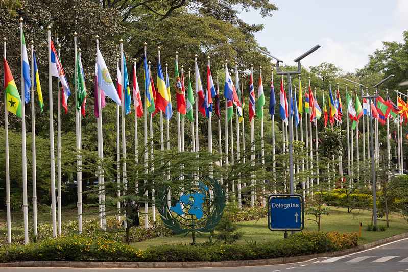 54973305839 93c73dd9d2 c 11zon