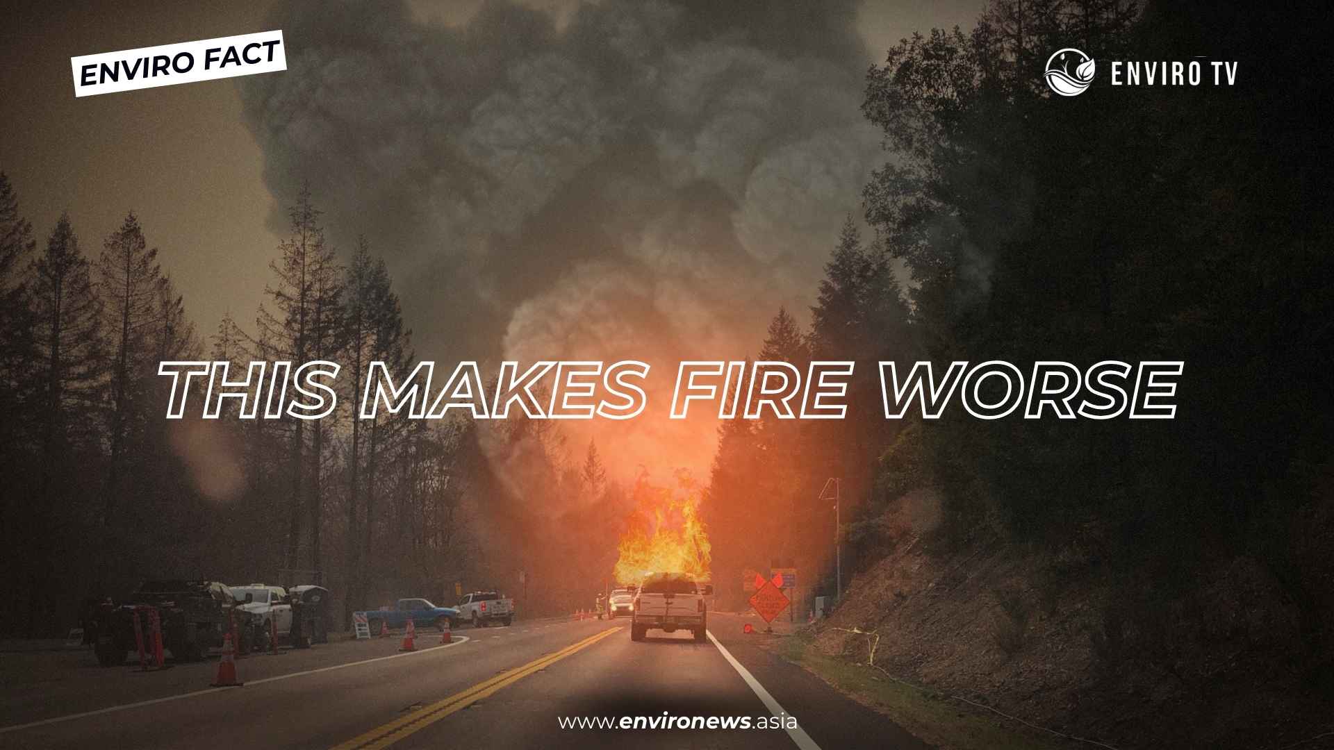 Thumbnail enviro fact (7)