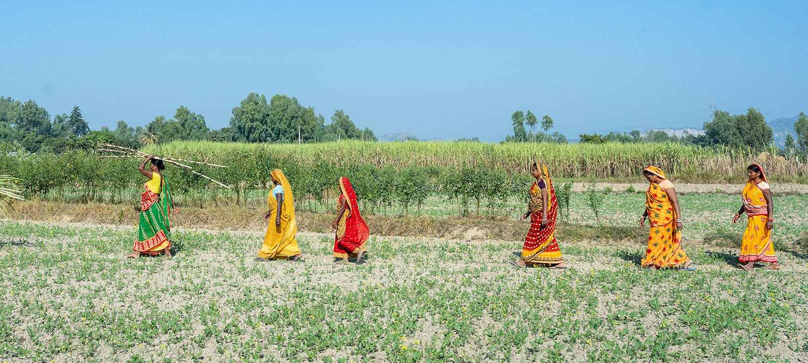 Whatsapp image 2026 02 12 at 12.04.24 11zon