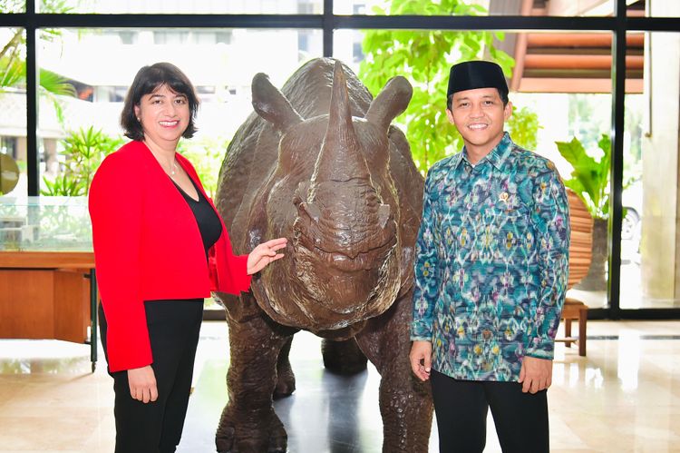 Medium hms 6633 a949b00738