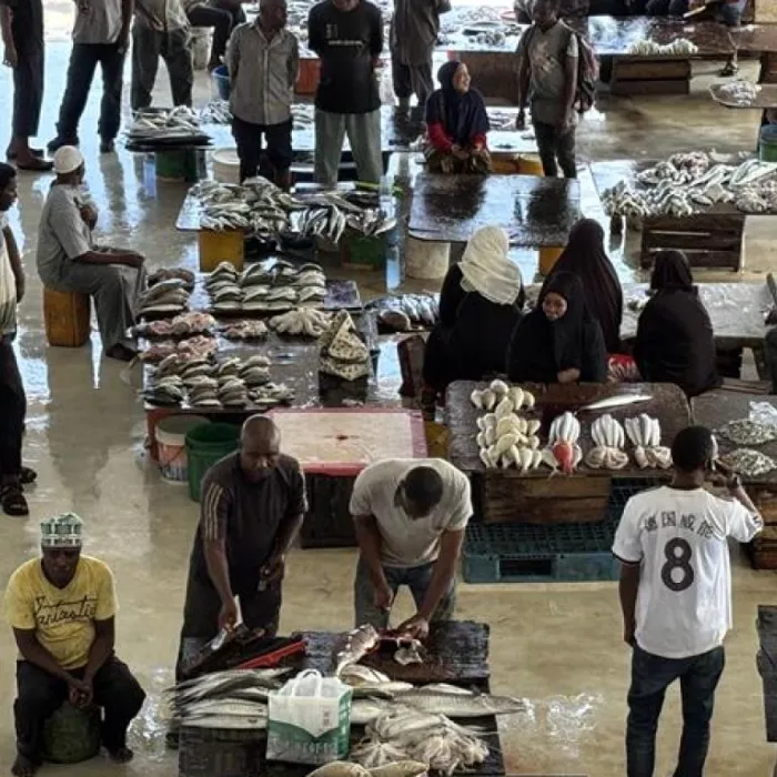 BA391E6C C743 4E43 A551 356C76C58C4F.jpg