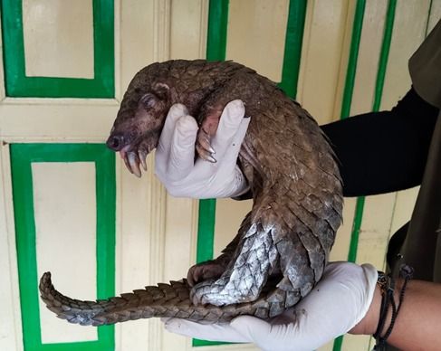 IMG 20260313 WA 0006 477f054e39