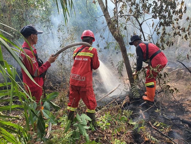 WhatsApp Image 2026 03 28 at 08.59.31