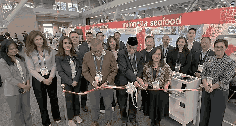 Asdadfarwadwqs 11zon