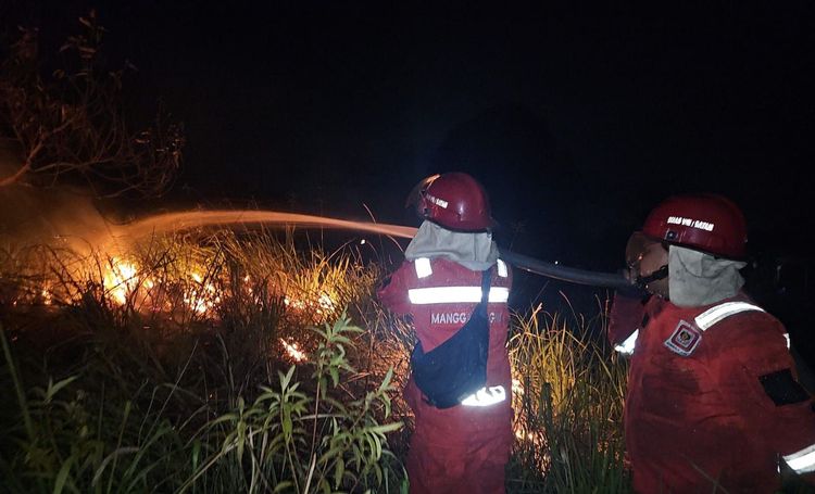 Medium IMG 20260311 WA 0005 49c298bf19