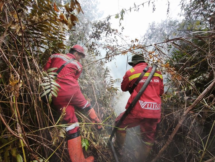 Medium IMG 20260316 WA 0006 ca007cecd6