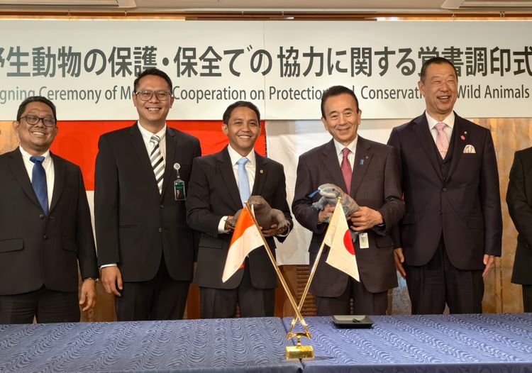 Medium IMG 20260328 WA 0025 96bd8f34e6