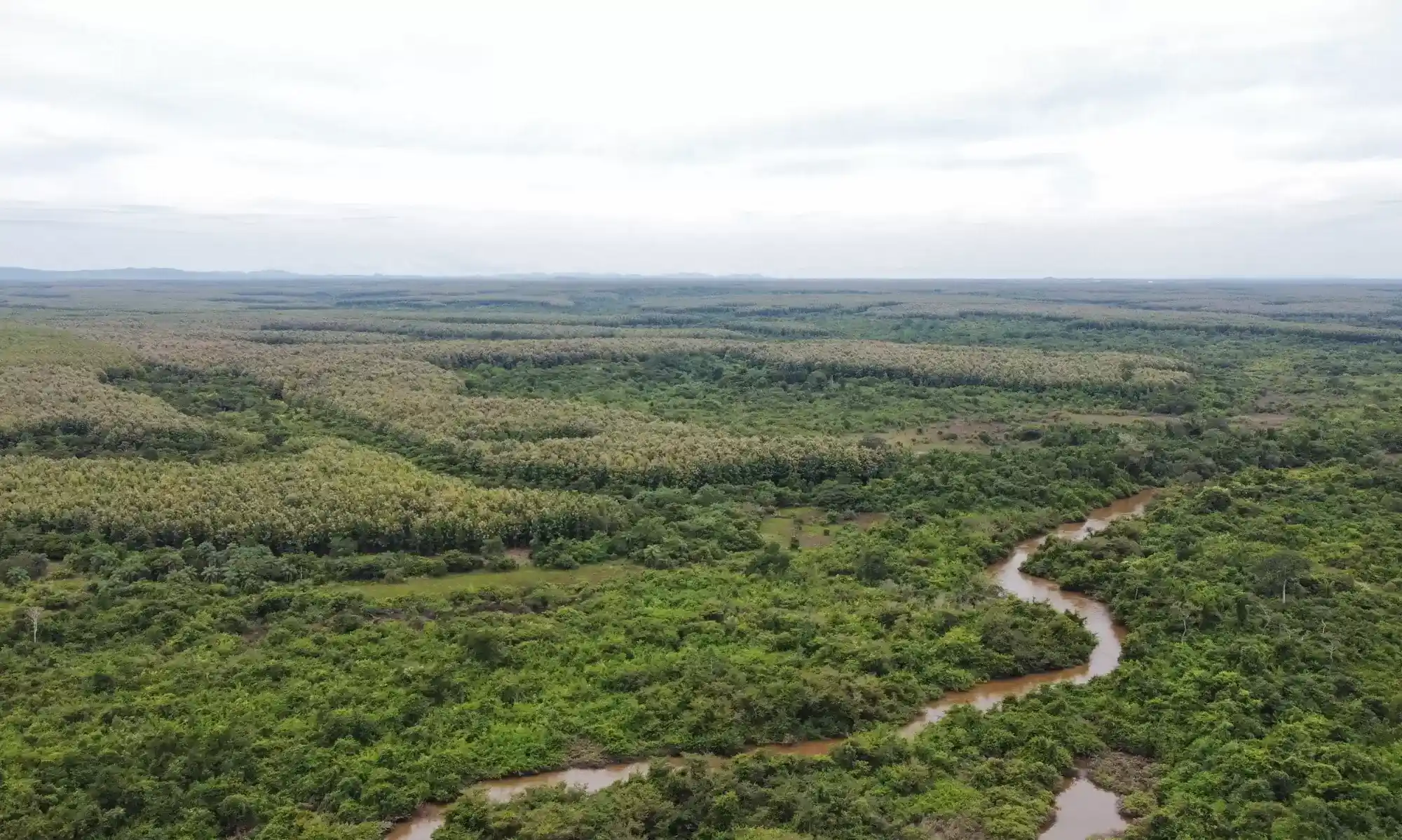 50001 ext 06 0.png 1776805367 11zon