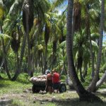 9b4cdb4c324e Andrea Garavito Guyot bd