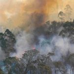 WhatsApp Image 2026 04 23 at 08.20.13 11zon