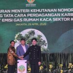 WhatsApp Image 2026 04 29 at 15.26.05 11zon