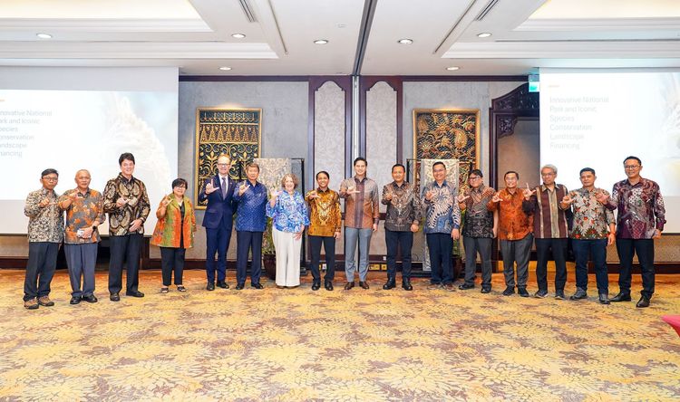 Medium DSC 03852 9a2d69321b