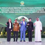 Medium DSC 08521 c09009c714