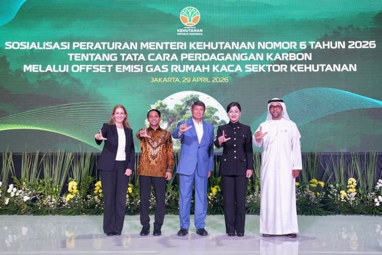 Medium DSC 08521 c09009c714