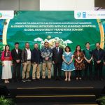 Medium DSC 09580 bd4756ac34