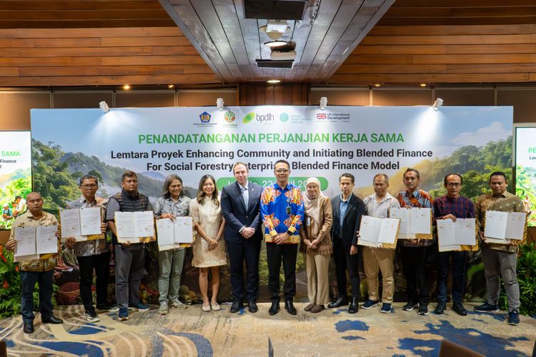 Medium HAM DSC 03211 44 65a5c3af42 (1)