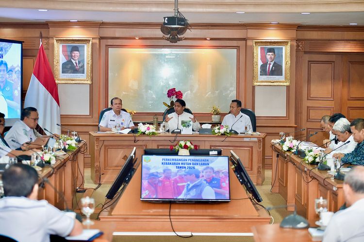 Medium HMS 8893 7b7d4dbe4a