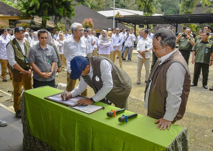 Medium IMG 0218 9be0ef8e92