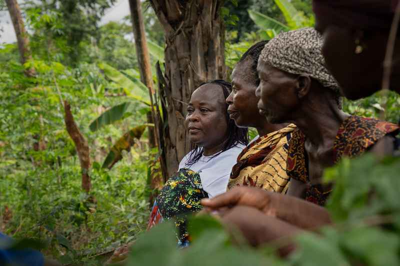 Uf1bxnp 25262 147 11zon