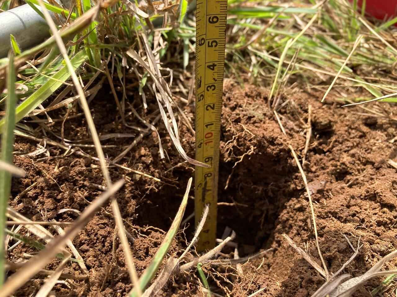 Cultivando el futuro desde la raiz 1 11zon