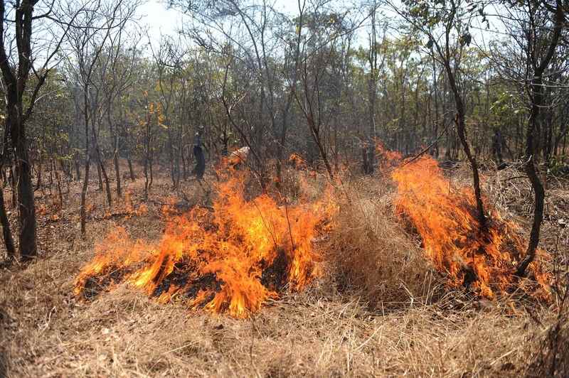 Fao simon maina 2 11zon