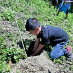 Beyond Planting1