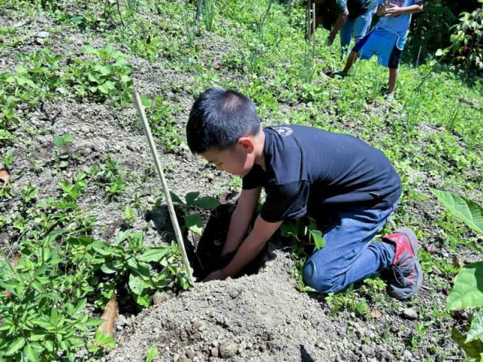Beyond Planting1