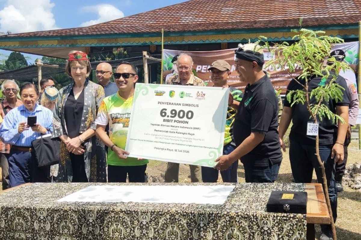 Palangka Raya BNF 1 11zon