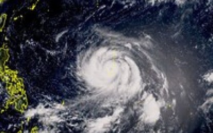 Typhoon bavi