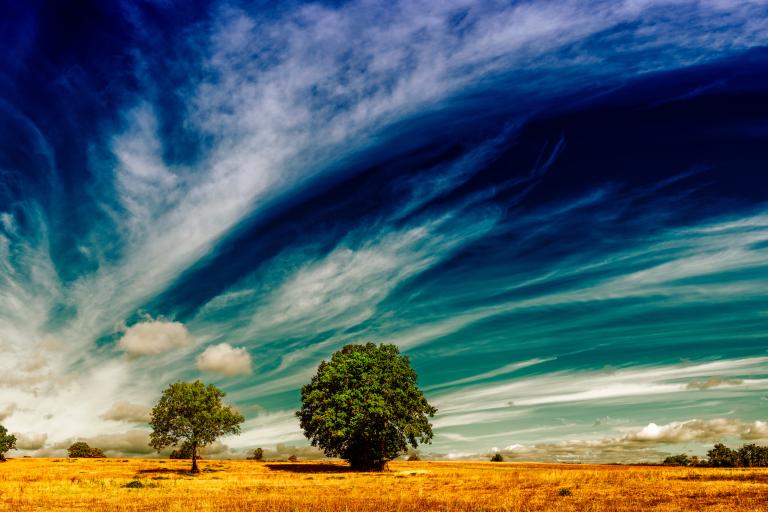 AdobeStock