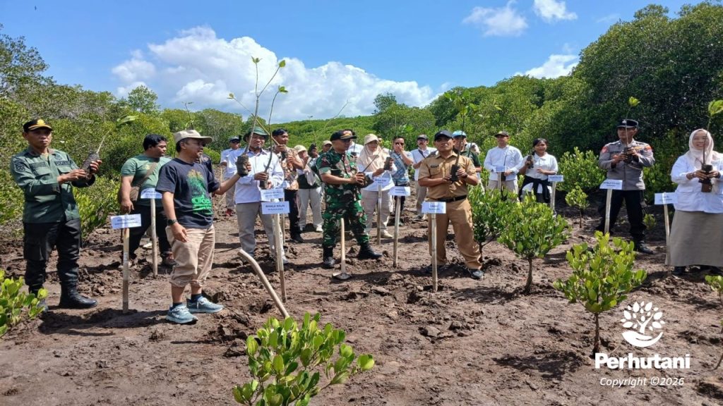 Dok HumasBws Baksos TNAP PhtBws dll Baksos Tanam Mangrove 1 1024x576