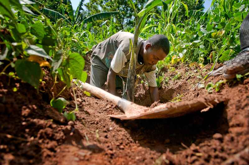 Cop19 soils uf11ztu 00076120f7653de8 c823 4d9c 8839 84a644953526 11zon (1)