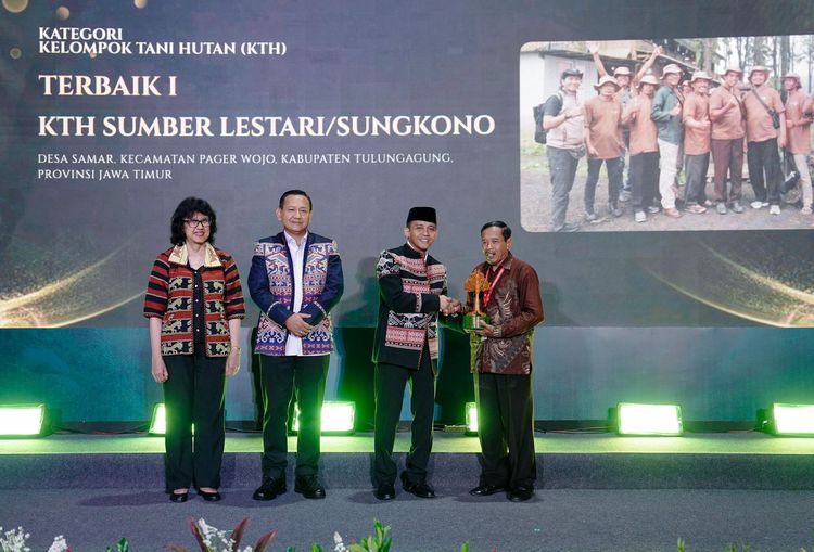 Medium DSC 05512 b89c409935