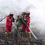Medium Manggala Agni Kemenhut 3dc91da00d